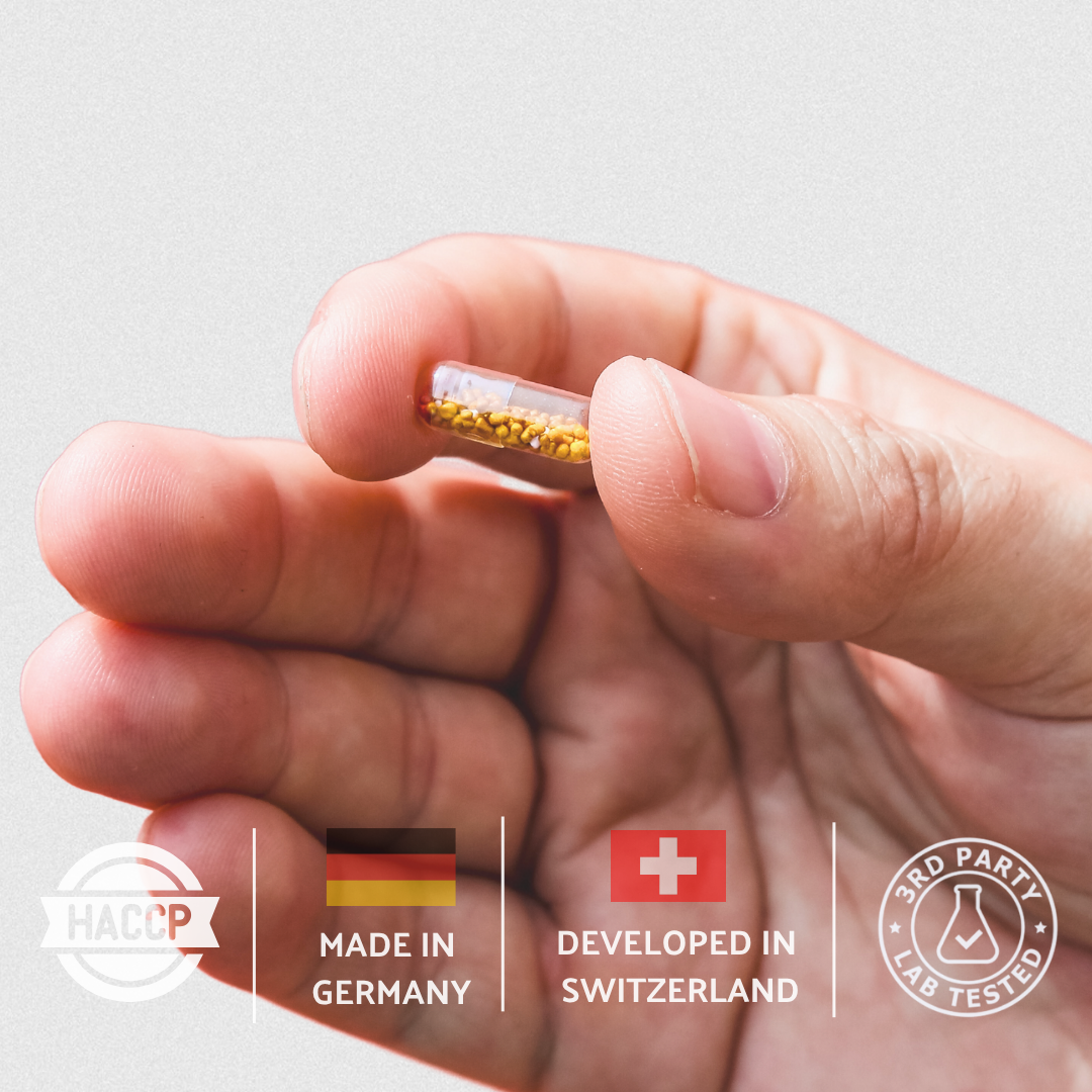 B・SYNC® Startklar und Produktiv