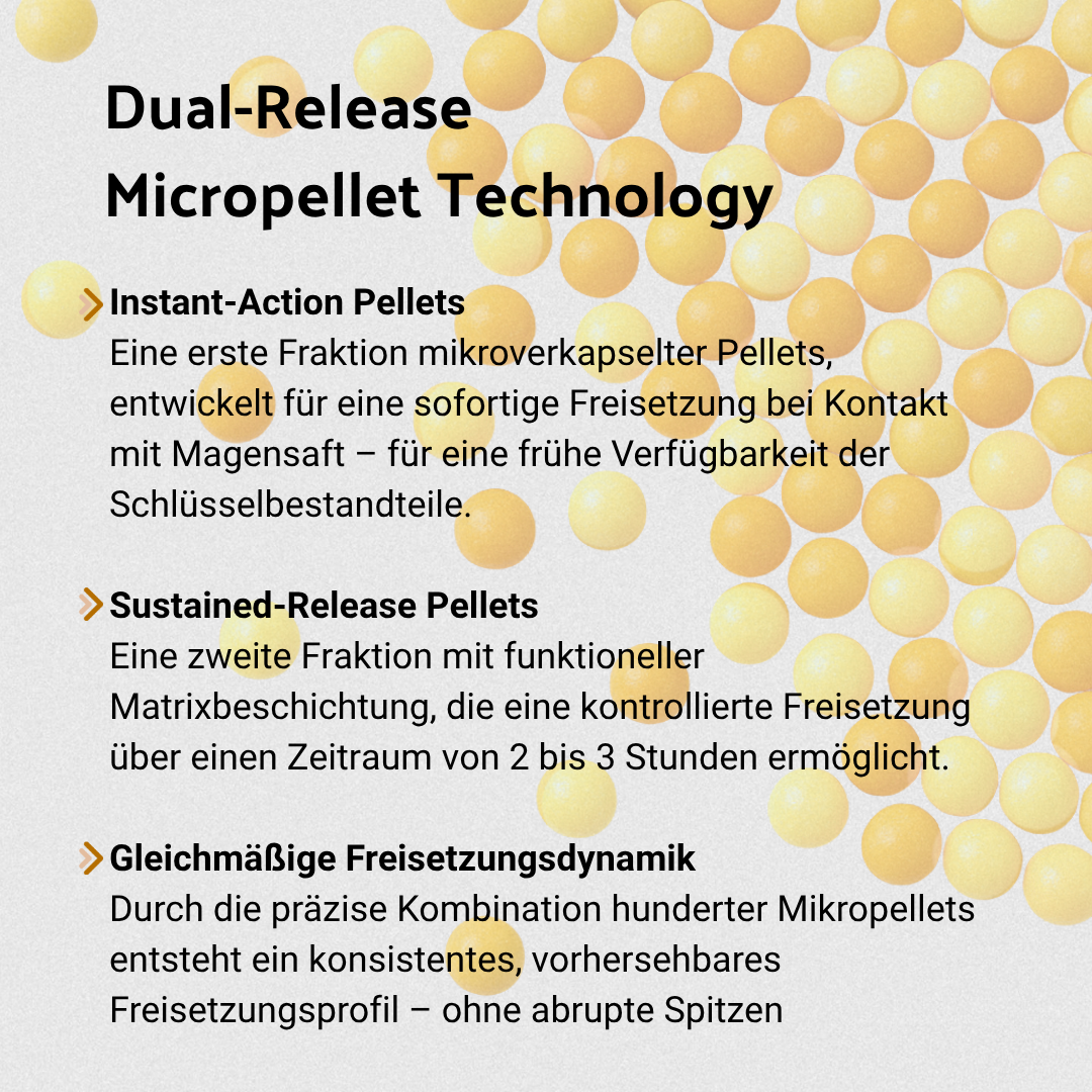 B・SYNC® Startklar und Produktiv