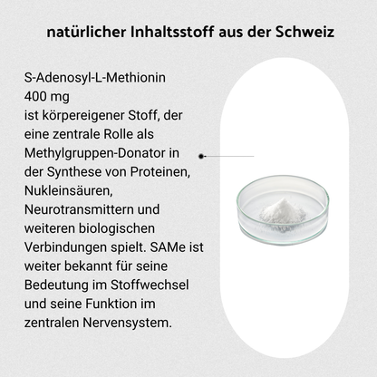 Stimmungs Tabletten: B・SYNC® MOOD